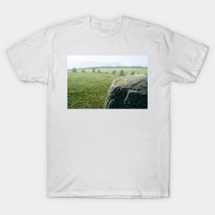 Castlerigg Stone Circle, UK (25) T-Shirt